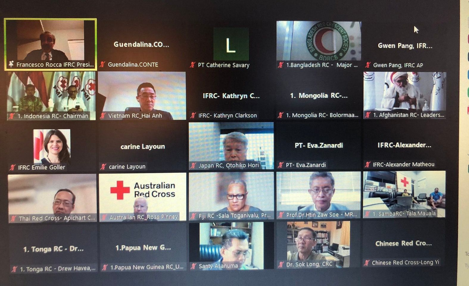 له نړۍ د شاوخوا ۸۰ هېوادونو د سرو میاشتو، سرو صلیبونو او نړیوال غورځنګ غړو انلاین ناسته ترسره کړه!