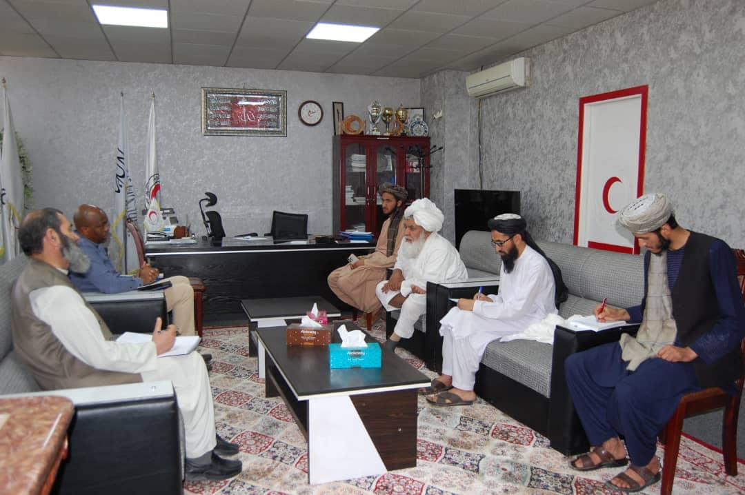 معاون جمعیت هلال احمر افغانی با رئیس فدراسیون بین المللی در كابل دیدار نمود.