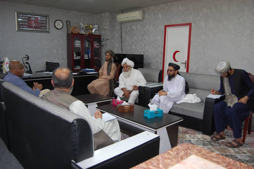 معاون جمعیت هلال احمر افغانی با رئیس فدراسیون بین المللی در كابل دیدار نمود.