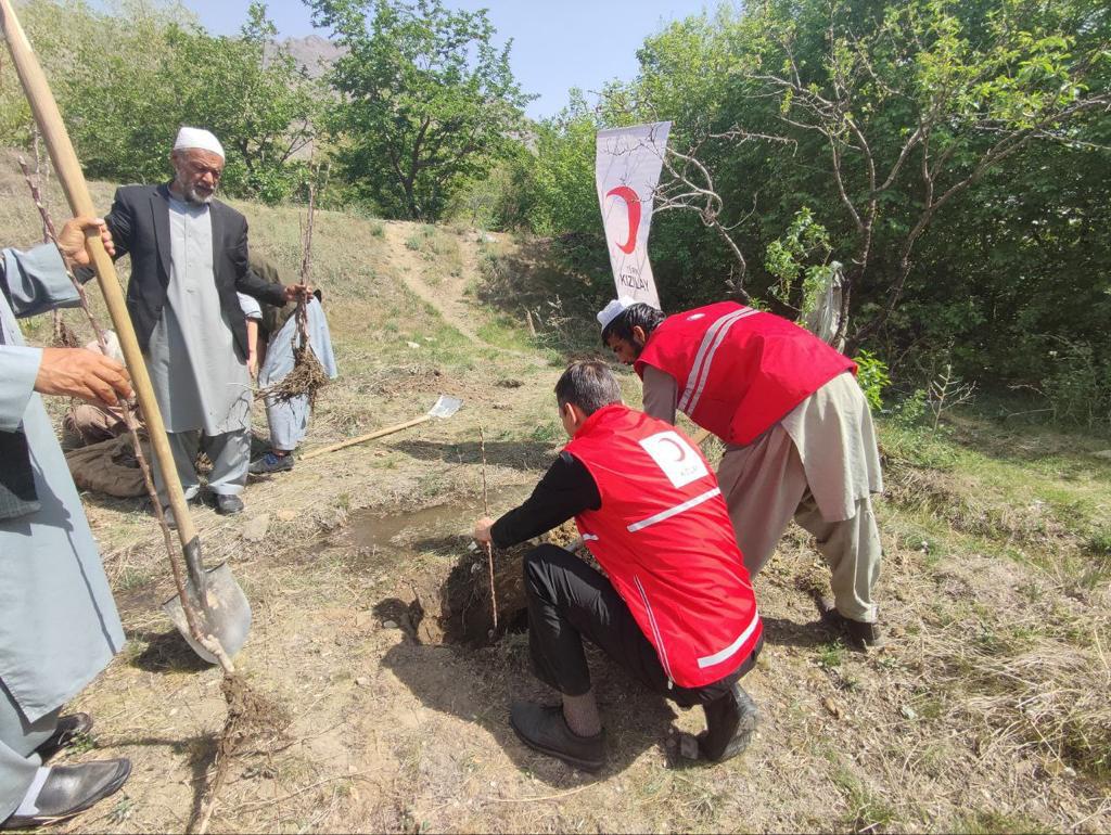 افغاني سرې میاشتې ټولنې ۱۰۰ مېوه لرونکي بوټي وکرل!